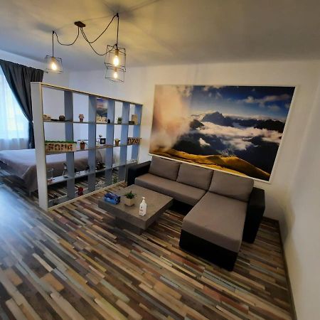 Croma Studio Petrosani Apartment Ngoại thất bức ảnh