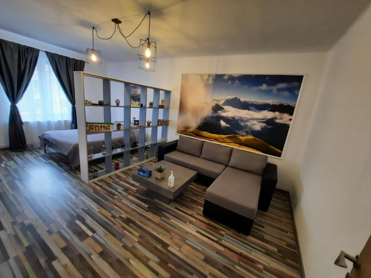 Croma Studio Petrosani Apartment Ngoại thất bức ảnh