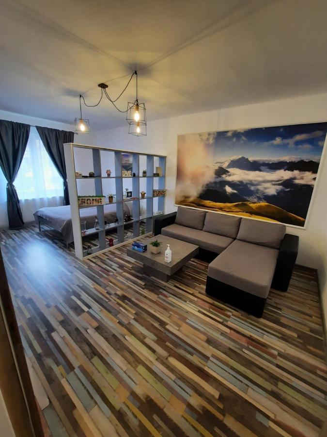 Croma Studio Petrosani Apartment Ngoại thất bức ảnh