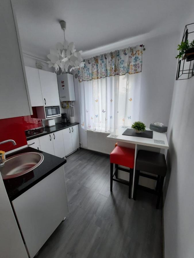 Croma Studio Petrosani Apartment Ngoại thất bức ảnh